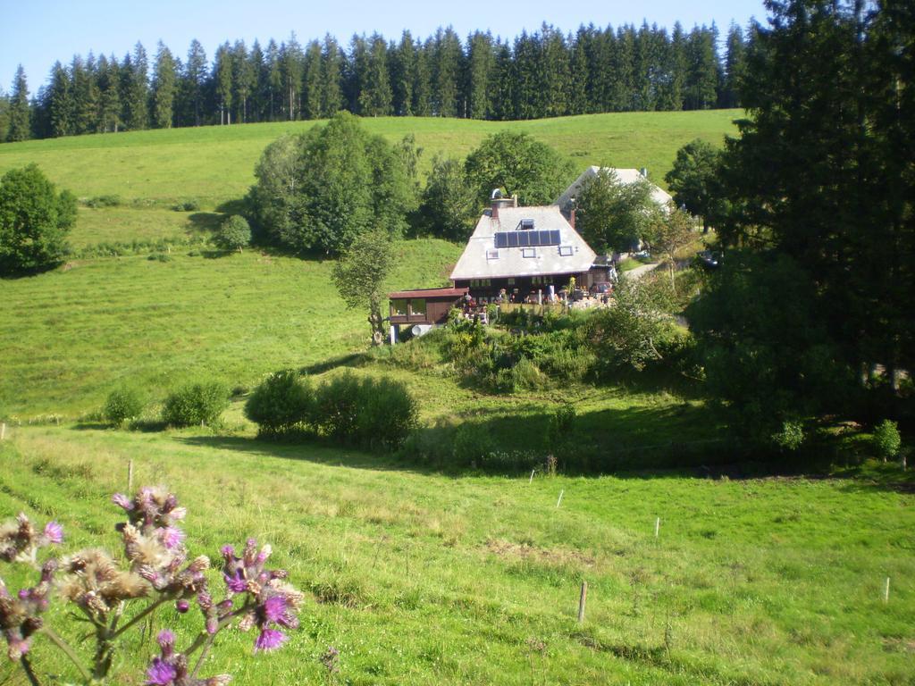 Appartement Grundhaeusle à Gutenbach Extérieur photo